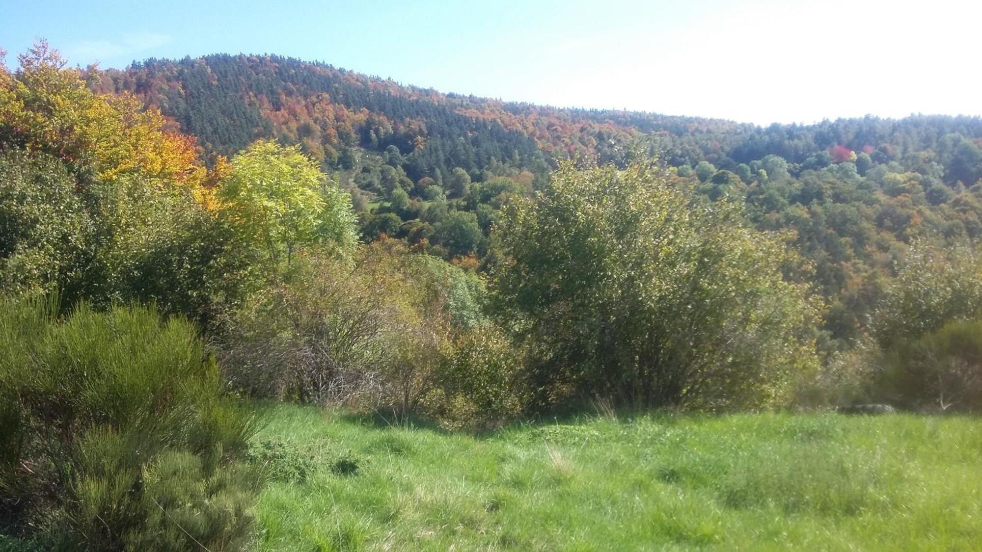 Gite Les Ducs Mialanes Exteriér fotografie